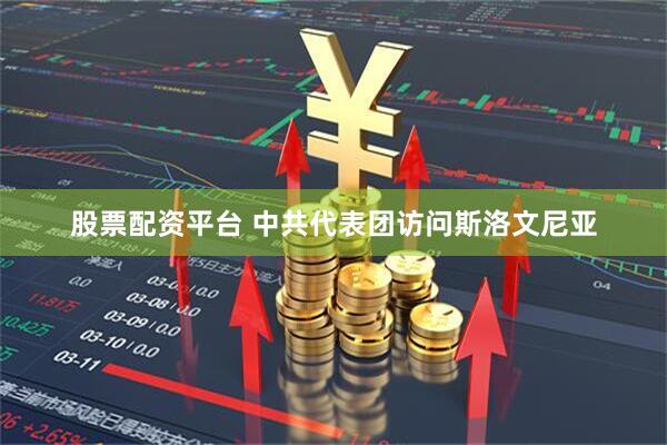 股票配资平台 中共代表团访问斯洛文尼亚